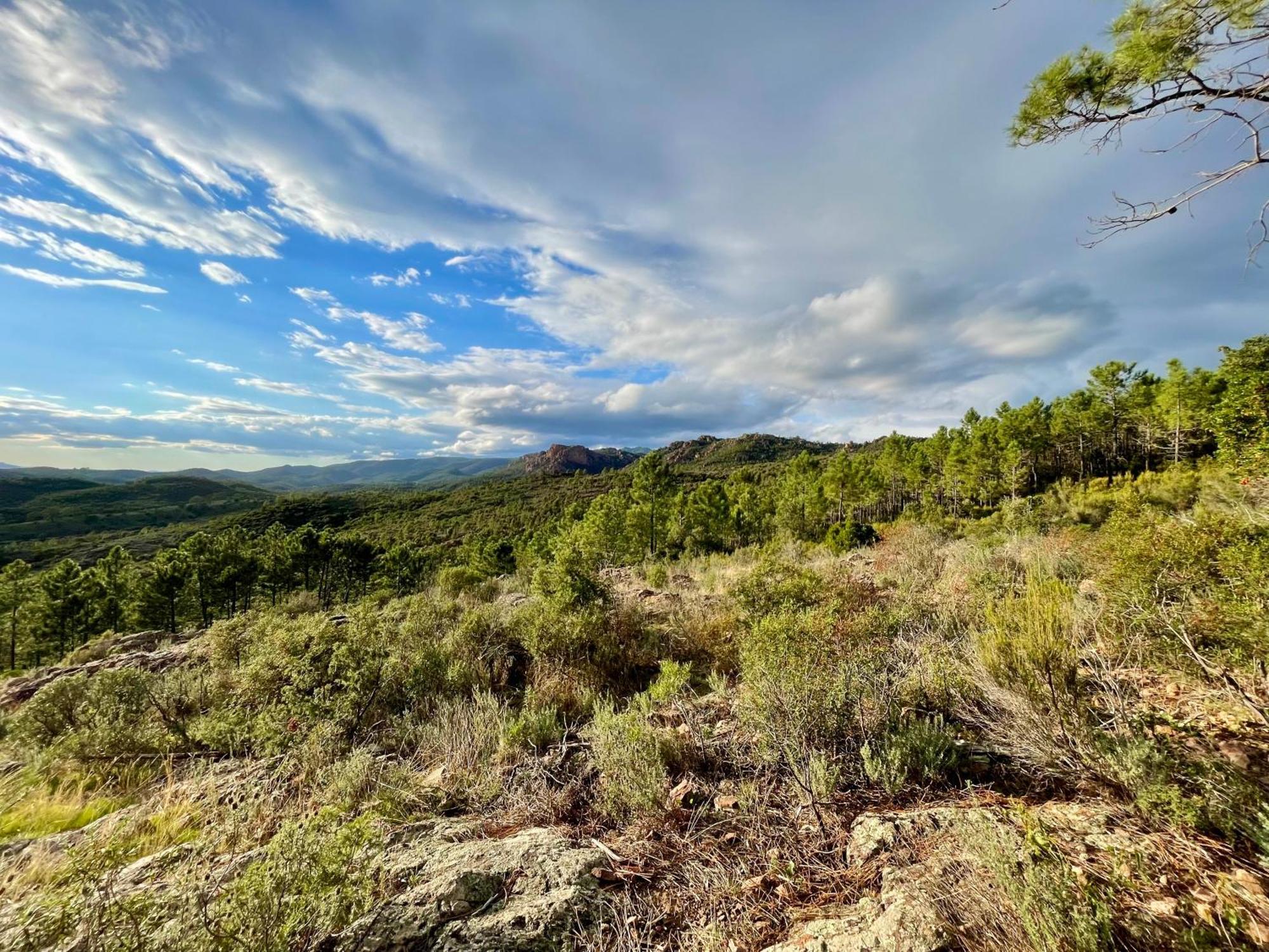 Village Cap Esterel, Piscine, Plage Saint-Raphaël Dış mekan fotoğraf